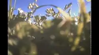 FPV Video 1 of 4