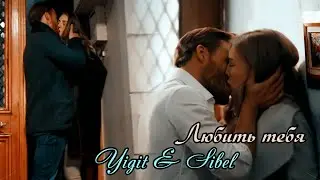Йигит & Сибель.