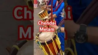 Chendai Melam - Nagapooshani Ambaal - Enfield  🇬🇧#uk #london #chendai #melam #tamil #kerala
