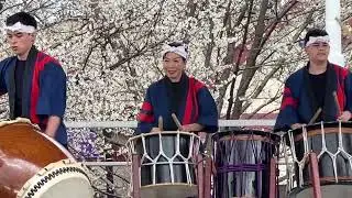 Taikoza Taiko drumming and Shakuhachi bamboo flute dance group Cherry Blossom Festival Newark NJ USA
