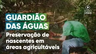Guardião das águas: um projeto da Aprosoja para proteger nascentes -  Programa #98 - Agro Em Foco