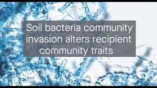 Soil bacteria community invasion alters recipient community composition and function