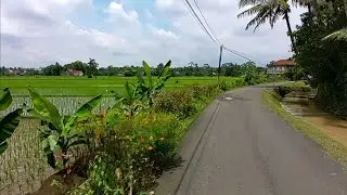 Jl. alang-alang Amba, Jl. Kemit, Grenggeng, Karanganyar, Kebumen, Arah Desa Pohkumbang, Penimbun dll