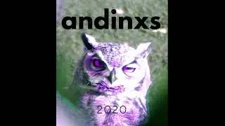 AWNISLV - ARCHIVO 1&deg; ANDINXS