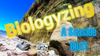 Biologyzing a Seaside Bluff