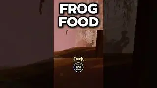 FROG FOOD 🐸💀