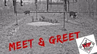 MEET & GREET FOR HOLLIS FARMS🤔🤔🤔And Wild Hog Action