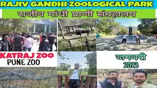 Pune zoo animals | Katraj Zoo | Snake Park | Jan 2023 |राजीव गांधी प्राणी संग्रहालय