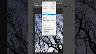 SELECTING OBJECTS WITH COLOR RANGE | USING PHOTOSHOP