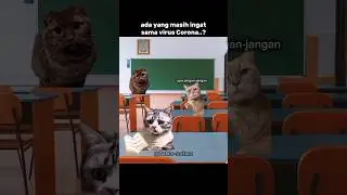 kalian tau kan..?#kucinglucu #catmemes #hiburan #shorts #cerita #virus #corona #lawak #catlovers