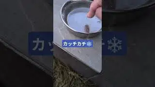 静岡の凍る朝 #寒波 #凍る #寒い朝 #静岡