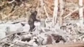 Patterson-Gimlin Bigfoot Massacre Theory - UPDATE (ThinkerThunker)