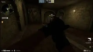 Counter Strike  Global Offensive   Direct3D 9 2026 01 29 00 41 59