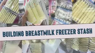 Do You Really Need a Breast Milk Freezer Stash? Here's What You Need to Know. A first time mom guide