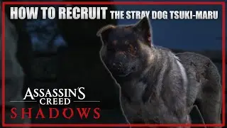 КАК ЗАВЕРБОВАТЬ БРОДЯЧЕГО СОБАКУ-компаньона Цуки-Мару - Assassin's Creed Shadows Quest