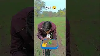 #amazing🍃🌱#amazingvedios #farming #youtubeshorts #trendingshorts#farmingreels #shorts #ytshorts