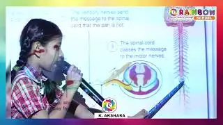 Студенческая конференция (EVS) &ndash; Рефлексивное действие | К. Акшара | Rainbow e-Smart School