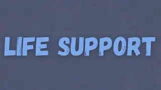 DigDat - Life Support (Lyrics)