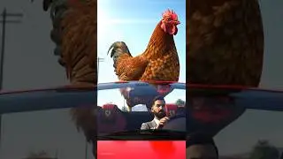 Chicken 🐔 Traveling in Ferrari Car #ferrari #automobile #supercar #chicken #ai #shorts