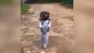 Pul qazanmaq ayıb deyil!!!