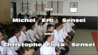 Aikido Schule Reinach Sommerlehrg&auml;nge 2010 und 2011 mit Michel Erb und Christophe Flock