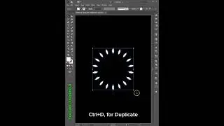 Transform Effect Design in Illustrator