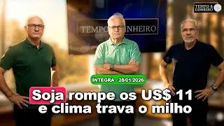 Soja sobe, café cai em dia de decisão de juros nos EUA. Ouro dispara. Chuvas generalizadas