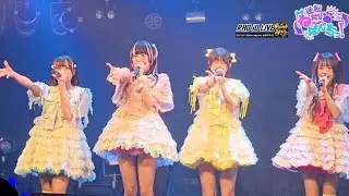 逆転ねこぱんちっ！『RAD iD LIVE-THANX2025-』📍Electric Lady Land 🗓️2025.12.30