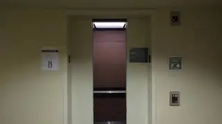 Otis Series 1 Hydraulic Elevators at DoubleTree in Holland, MI