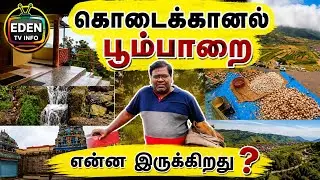 Kodaikanal Poombarai Full Details Information In Tamil | Eden Tv Info