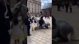 🥰He doesn't think twice when he sees children with a trained horse.🍀💞#animal #youtubeshorts #viral