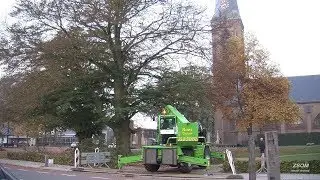 Beuk bij de parochiekerk Maria ten hemel opneming in Beltrum