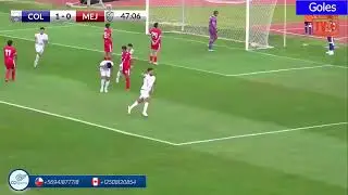 Alvaro Garrido 2024 / Volante mixto