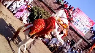 Yesamba fastival(1)