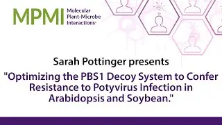 What's New in MPMI with Sarah Pottinger