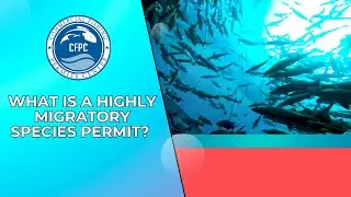 Commercial Fishing Permits l What is a Highly Migratory Species Permit and How to Get One?