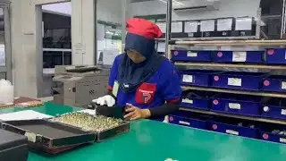 Program Magang Mandiri MBKM Mahasiswa UVERS di PT. Triplus&nbsp;Hitech&nbsp;Batam - Lussy Vidya&nbsp;Citra