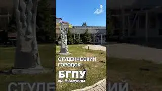 Stories для продвижения БГПУ в социальных сетях . Студенческий городок