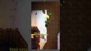 Dica R&aacute;pida: Ganhe Grana F&aacute;cil Pescando no Tibia! Gold f&aacute;cil em qualquer level #tibia #tips