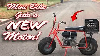 Barn Find Yamaha Venture Royale Teardown & Coleman 200 Predator 212 Performance Swap!