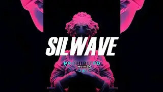 I'm Good (Blue) | Silwave Remix