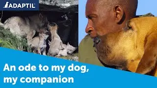 Back to Nature - An Ode to Dogs (Feature Length)