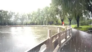 Heavy Lakeside Rain &mdash; Intense Downpour & Distant Thunder for Deep Sleep & Relaxation 12 Hours