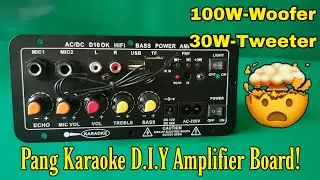 Karaoke Amplifier Board (D10 OK HiFi Bass Amp) 100W