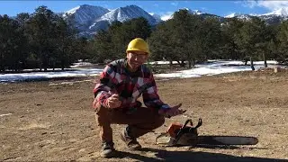How Wood is Made!! - Sam&rsquo;s Toolbox Learns Where Wood Comes From - How It&rsquo;s Made for Children