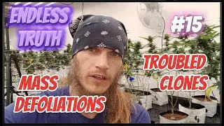 Endless Truth Series #15 New Millenium Nutrients Massive Defoliations & Difficult Moonbow 112 Clones