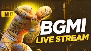 Noxe Nick is Live