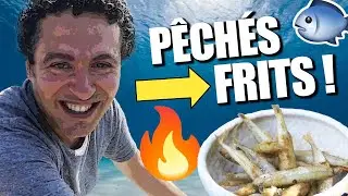 🎣🔥 &Eacute;perlans du Bassin d&rsquo;Arcachon : P&ecirc;ch&eacute;s & Cuisin&eacute;s dans la journ&eacute;e ! 🍽️