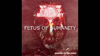 ECHOES OF MISANTHROPY   SHADES OF UGLINESS OFFICIAL STEREAM EP 2014