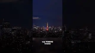 Discover the Beauty and Energy of Tokyo - Exploring Roppongi Hills, Tokyo Tower, and Shibuya Crossin